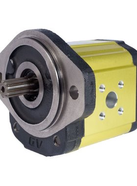 意大利Vivoil单向液压泵 X2P4101EBBA，021-010-01600 RV-1D/9议