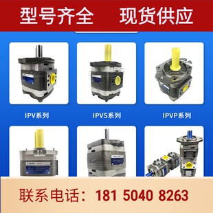 101双联液压内啮合voith油泵 福伊特齿轮泵IPVP
