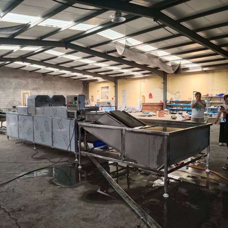 全自动连续式鸡蛋清洗机械洗蛋机松花蛋泥包蛋清洗设备蛋品流水线,清洗/食品/商业设备,打蛋机/洗蛋机/磕蛋机,淘宝优惠券,粉丝福利购,淘宝优惠卷