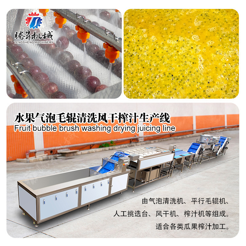 水果气泡毛辊清洗风干榨汁生产线 果蔬榨汁加工线 果蔬压榨打汁