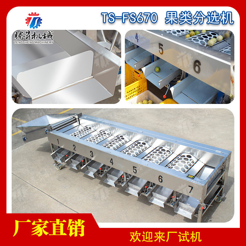 龙眼分级选果机 山楂青金桔等果蔬 分选机 滚杠 大小分拣不伤果,五金/工具,分离设备及耗材,淘宝优惠券,粉丝福利购,淘宝优惠卷