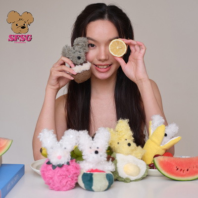 SFSG X 2026春夏新款《水果派对系列》潦草小狗玩偶盲盒包挂件