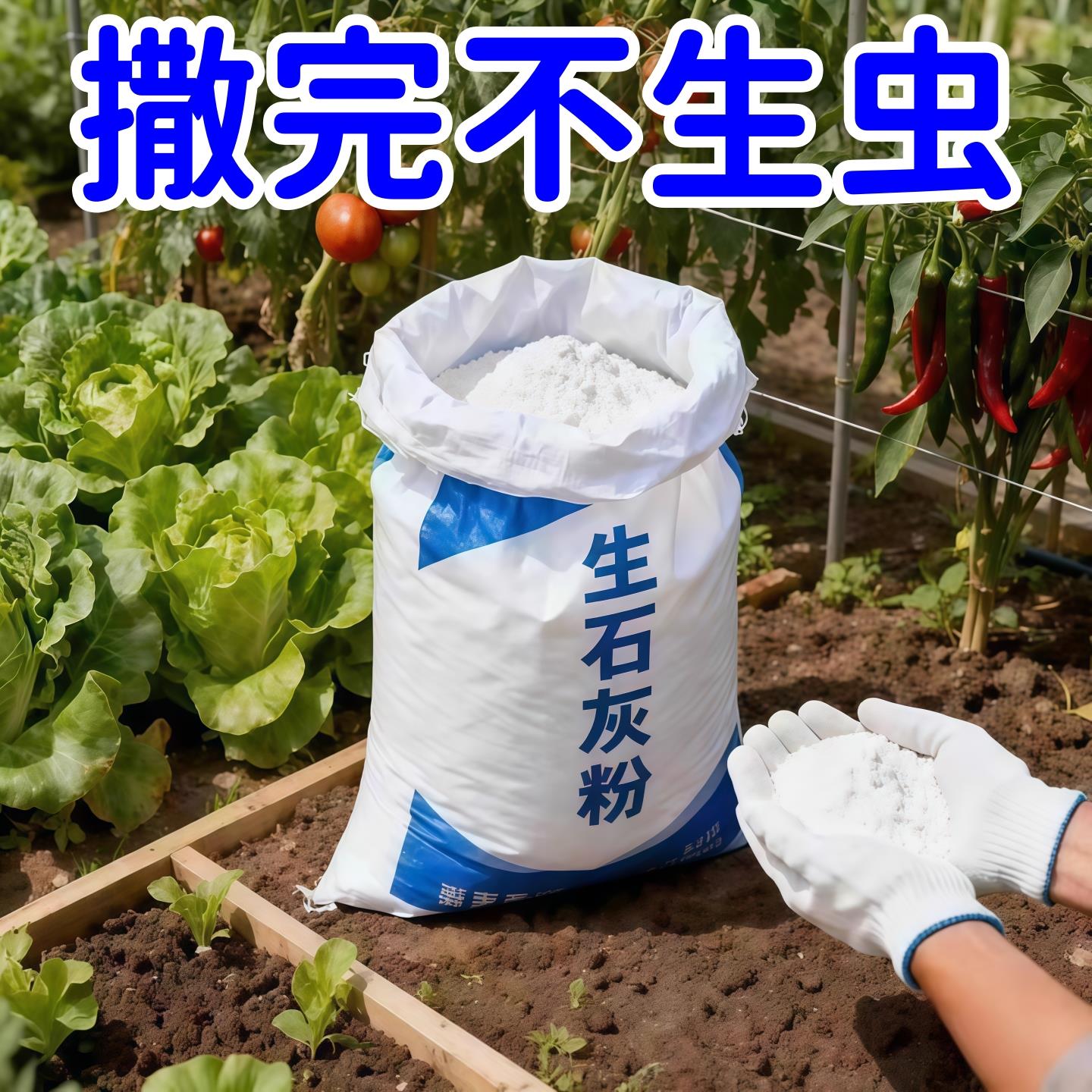 种菜生石灰粉杀菌消毒杀虫驱虫剂干燥剂改善水质改良土壤防霉防病