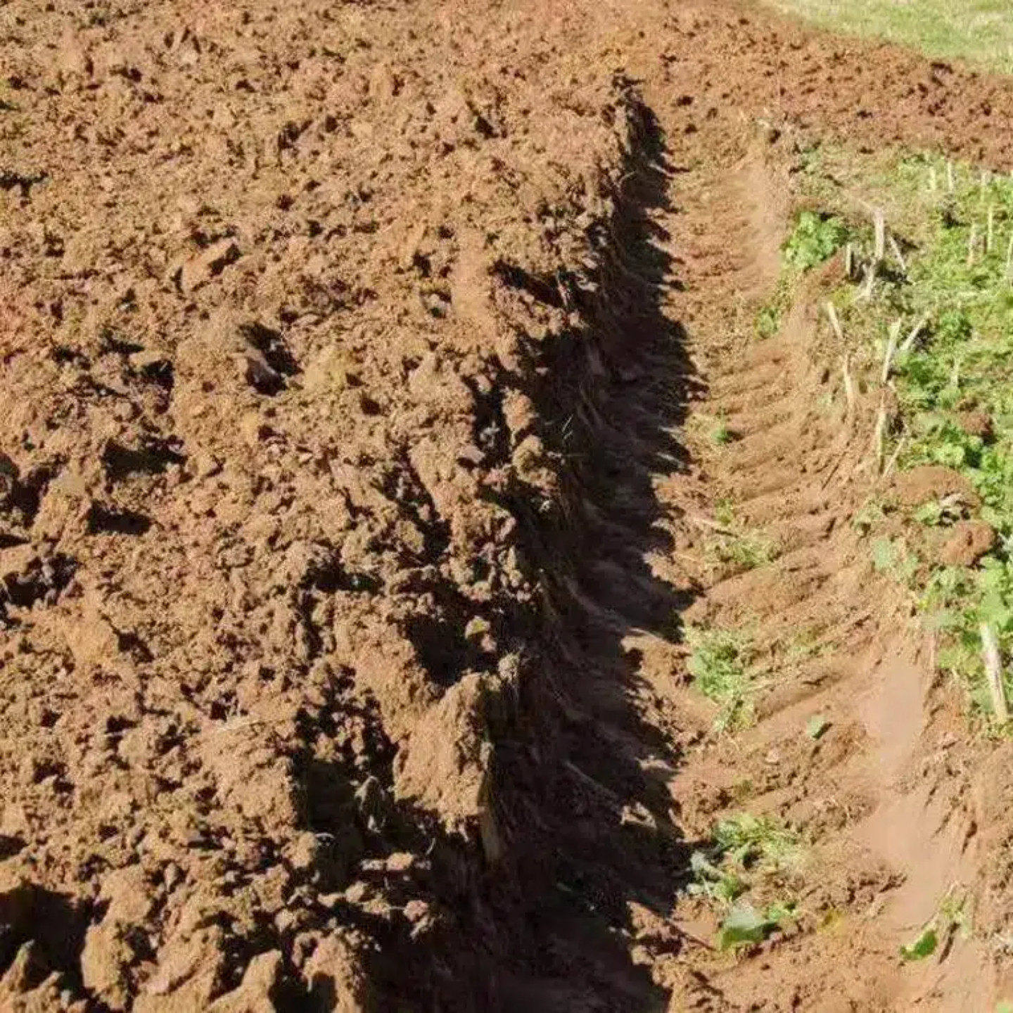 广西田园土种菜纯正专用土家用阳台养花种菜盆栽种植土沙壤土种果