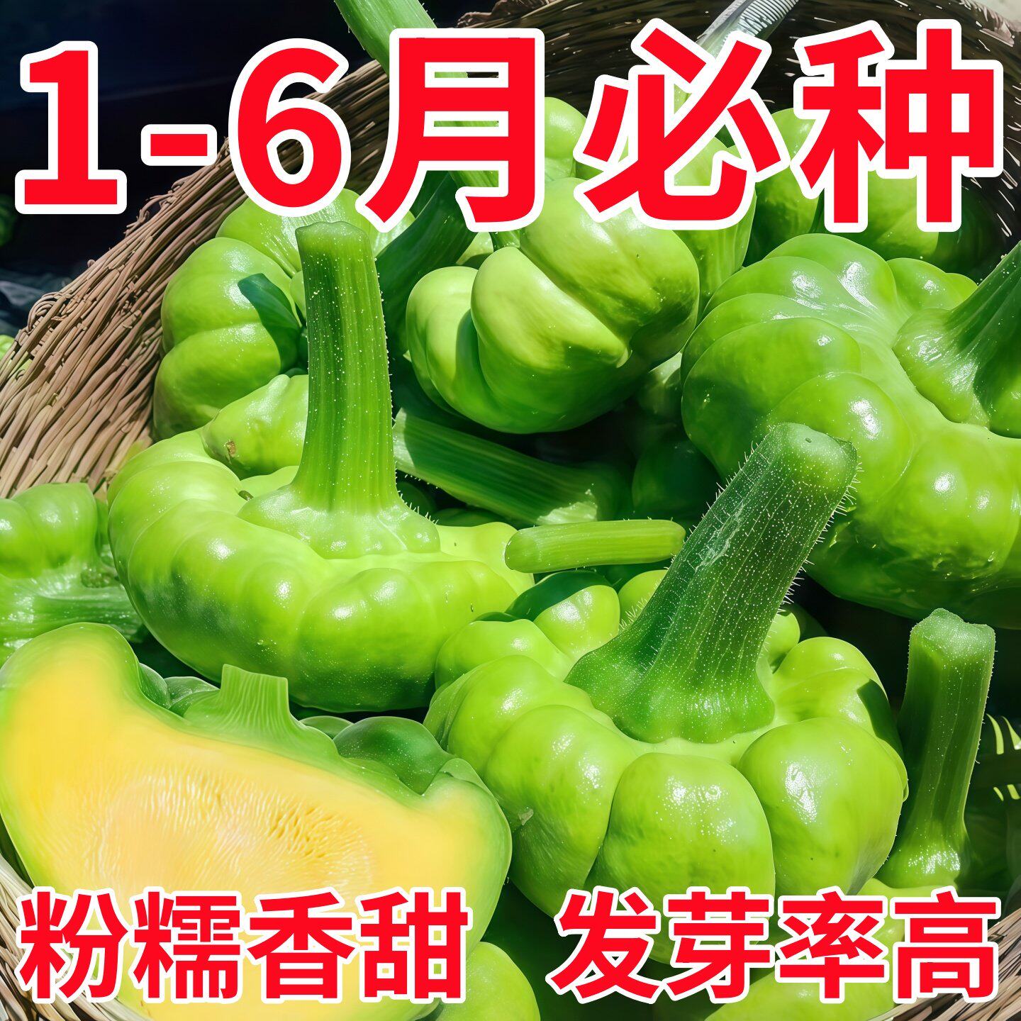 云南姜柄瓜种子特产小嫩瓜南瓜种籽中早熟庭院特色迷你小南瓜种籽