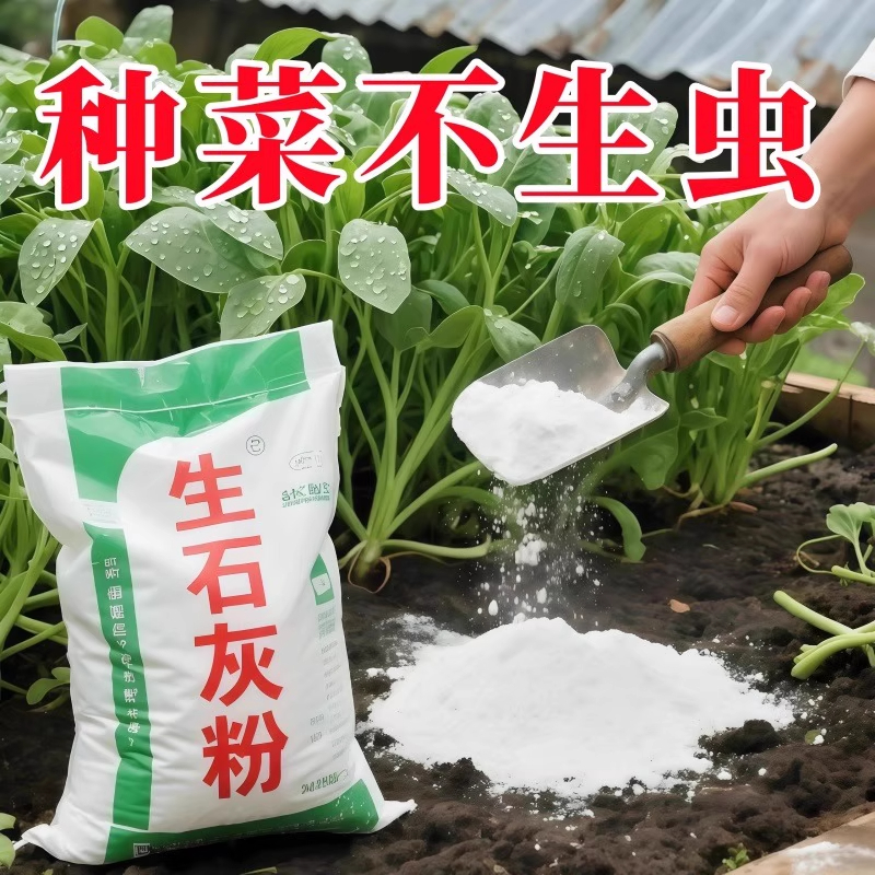 种菜生石灰粉农用果树养花种菜改良土壤杀菌消毒驱虫菜地种植驱虫