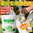果树涂白剂树干防虫杀菌大树涂白粉树木防冻防寒剂防病防刷涂白剂