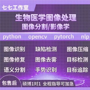Python代码医学图像分割视觉深度学习语义分割检测图像分类帮做