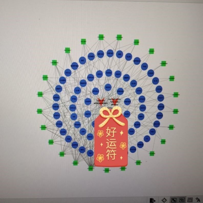 单细胞分析全流程教学 Seurat/Scanpy代码 一对一指导