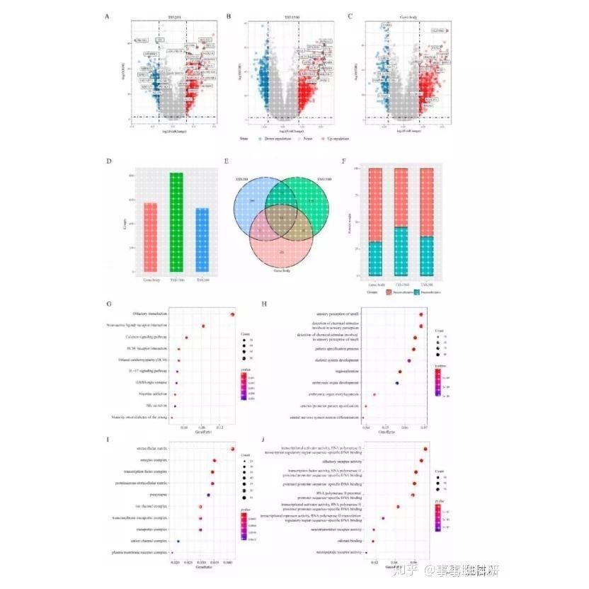 生信分析基因蛋白质测序数据分析差异分析富集分析R语言Python