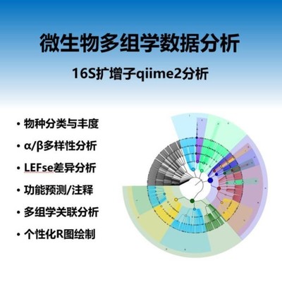 【16s数据分析】扩增子分析,qiime2安装使用,微生物组数据分析