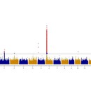 植物生物信息GWAS分析2D3D绘图 生物信息 单倍型分析构建进化树