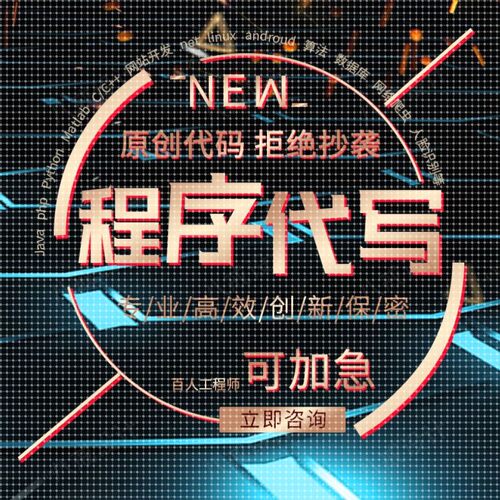 JAVA代码编写计算机程序php设计python代编程C#开发C++代做c语言R