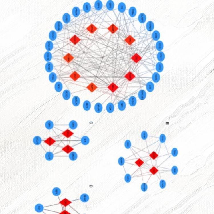 中医药网络药理学代做 网药 TCMSP GO/KEGG cytoscape 分子对接