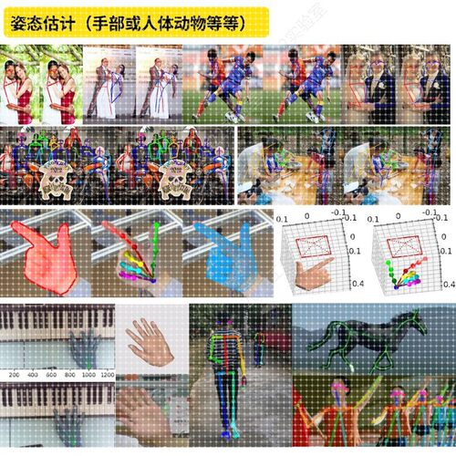 Python编程深度学习接单做代码编写跑通指导调试爬虫程序定制