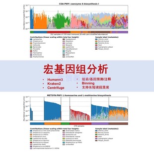 krona kraken2 宏基因组数据微生物16S生信分析R语言绘图 humann3