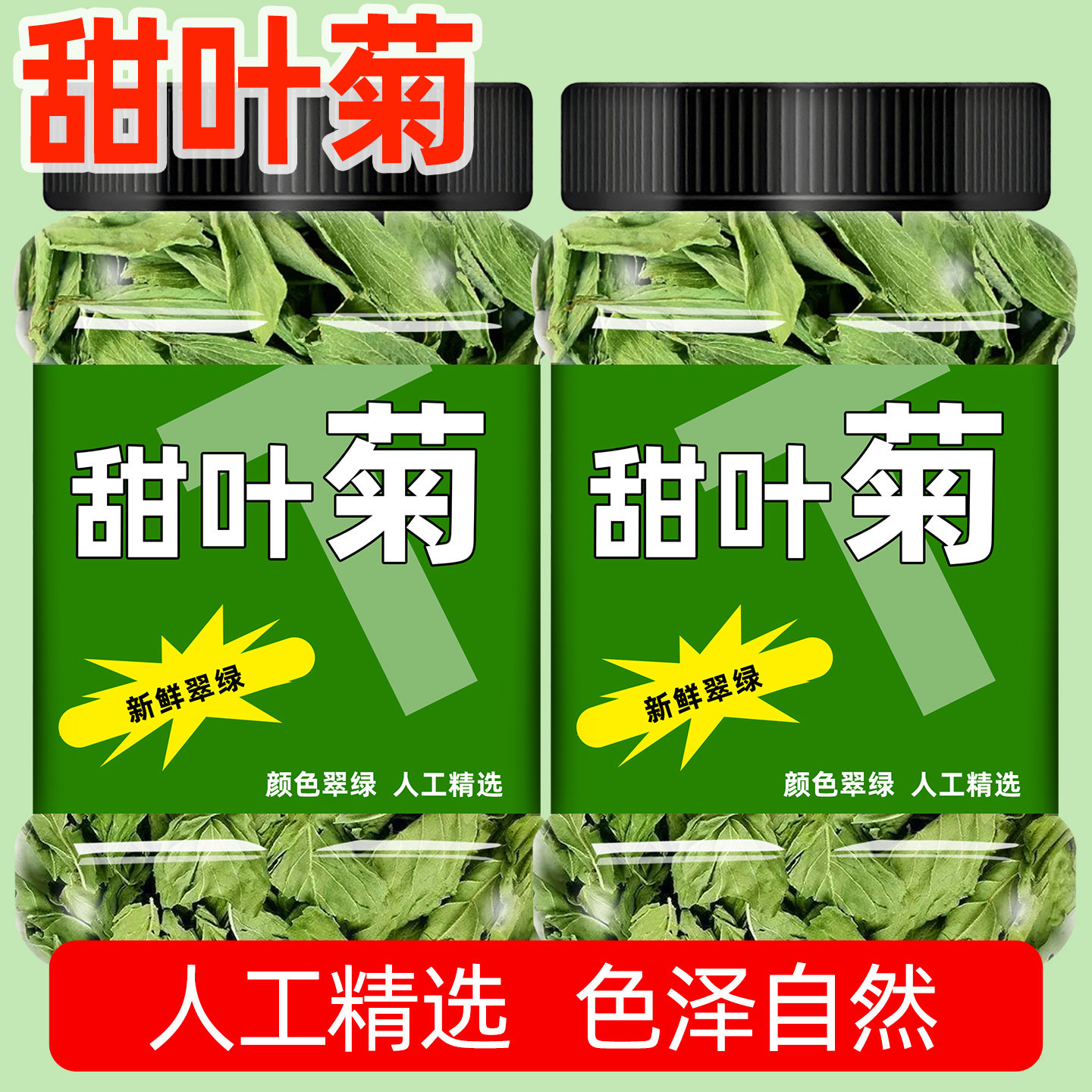 甜叶菊茶泡水喝新货野生天然代糖