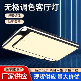 佛山照明客厅灯长方形吸顶灯北欧简约后现代创意几何设计灯饰灯具