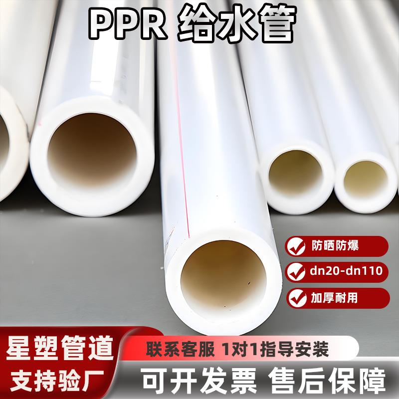 PPR工程管市政工程管道热熔管ppr家用自来水热水管给水管厂家
