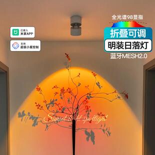 明装日不落射灯玄关过道走廊洗墙夕阳红氛围网红智能可调日落灯