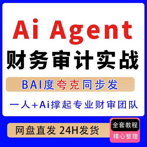AlAgent实战落地课财务建模审计核查风险识别报告生成一人团队课