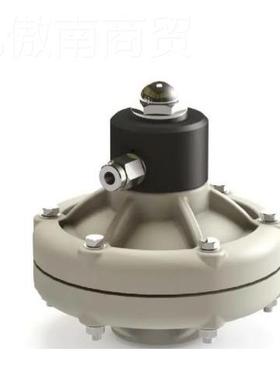 Debem D 06 M插桶泵 隔膜泵 阻尼器 力FOOD磁BOX87475E泵R 30