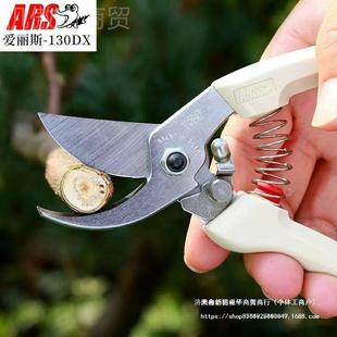 ITF日本爱丝ARS丽10DX修枝剪园艺工具剪花剪枝剪树剪刀粗枝剪3省
