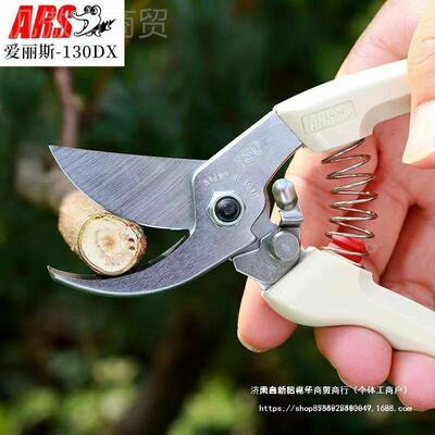 ITF日本爱丝ARS丽10DX修枝剪园艺工具剪花剪枝剪树剪刀粗枝剪3省