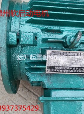 锦州特种软起动电机 YSE100L14 22KW起重冶金软启动制动电机