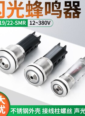 金属蜂鸣器 19mm 22mm不锈钢闪光报警器16mmLED声光报警器24v 12v