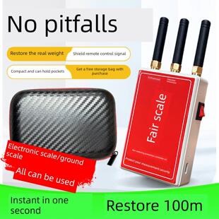 地磅称重监测防控仪电子秤大灰辉狼A10防遥控防干扰器检测报警器