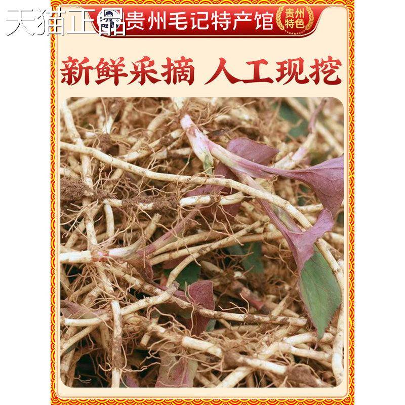 贵州折耳根带川泥新鲜泽儿根凉拌下饭菜四腥草农家鱼自种野菜