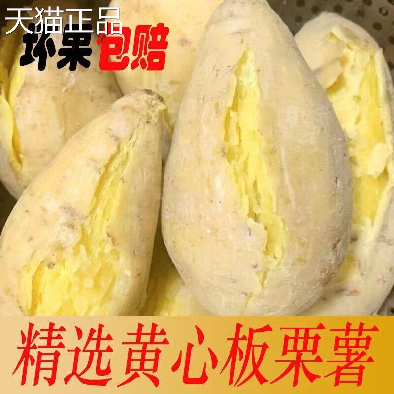 【现挖现发】潮汕干农家新鲜白皮黄肉番薯粉糯栗红薯香甜地瓜板糯