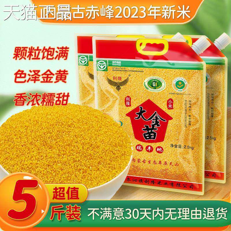 新黄斤小蒙米杂粮5内赤峰大金苗敖汉农家黄米饭黏糯米脂小米粥