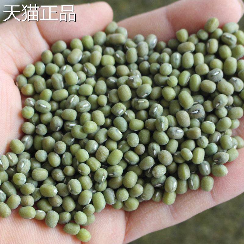 绿豆5斤包邮新绿豆农家新货毛0绿豆笨绿豆250g称豆类沂蒙散山自产