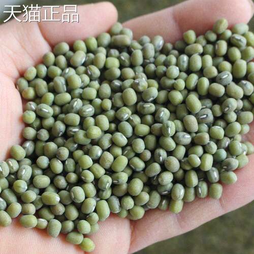 绿豆5斤包邮新绿豆农家新货毛0绿豆笨绿豆250g称豆类沂蒙散山自产