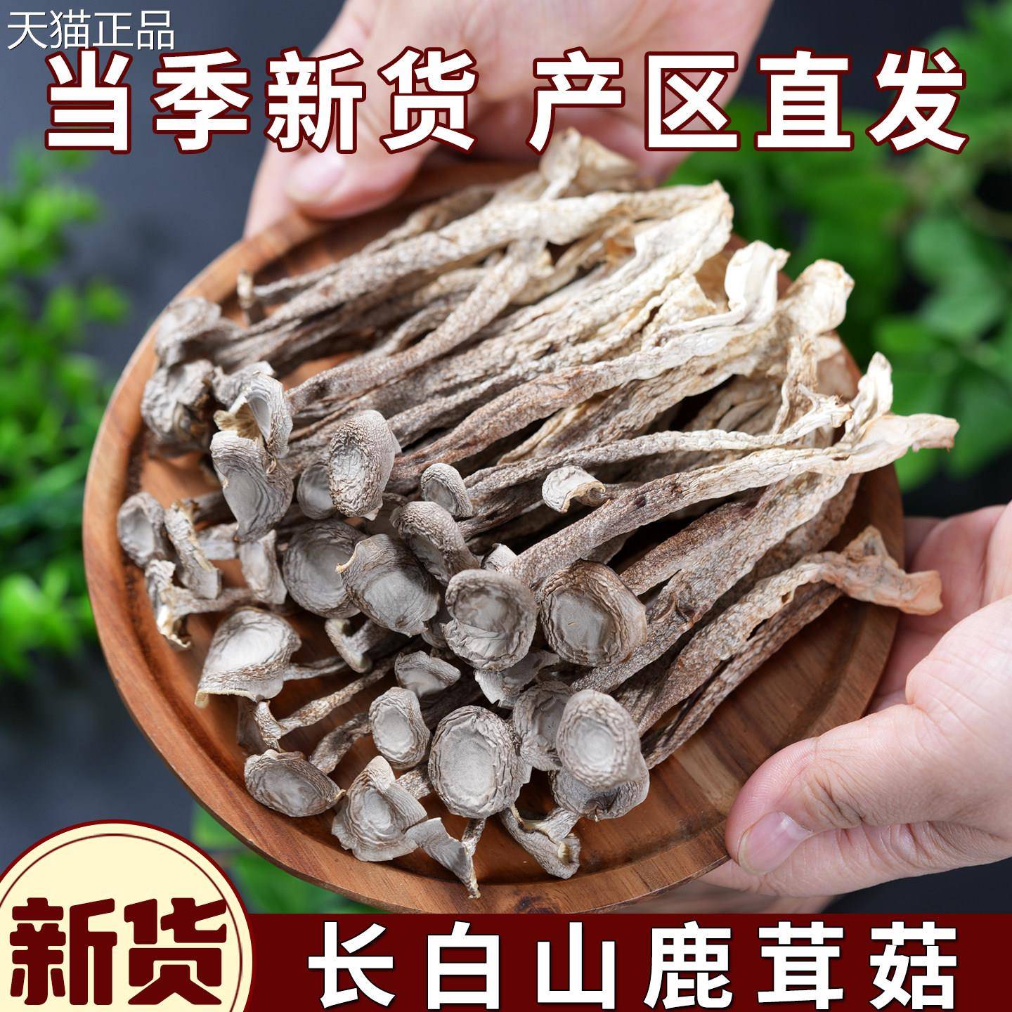 干货鹿茸菇食材白鹿茸菇干长货山特产级脆脆菇新鲜东北农家优质煲