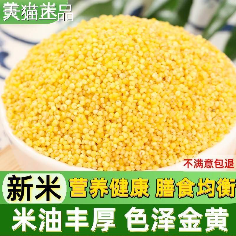 黄小米5斤 新米小小黄米 月子粥农家油脂小米米粥糯粟米杂粮杂粮