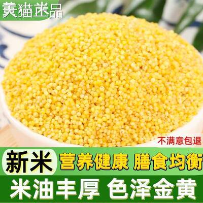 黄小米5斤 新米小小黄米 月子粥农家油脂小米米粥糯粟米杂粮杂粮