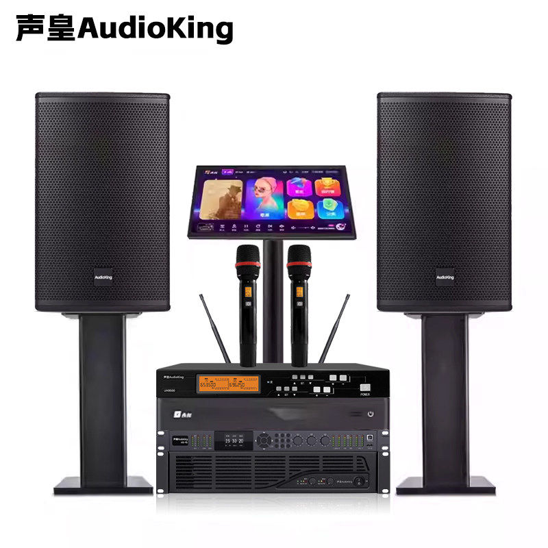 声皇AudioKing AK15一拖二音响+点歌机+无线话筒 专业KTV音响套装