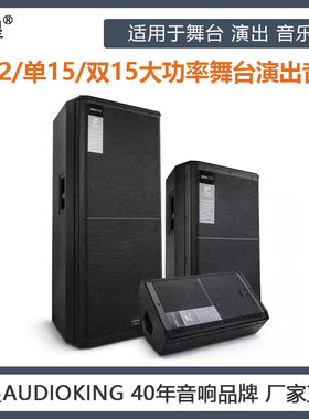 声皇AudioKing 单12寸 高配大功率舞台婚庆演出音箱一对600W