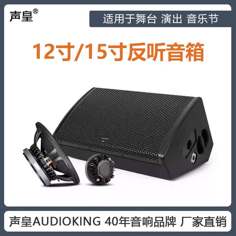 声皇AudioKing 15寸反听音箱 舞台演出酒吧监听台唇反听同轴音箱