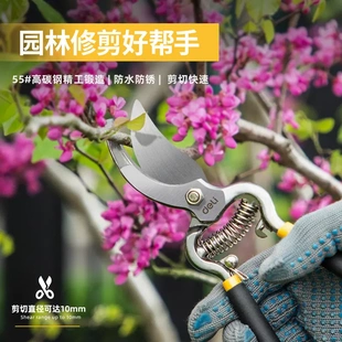园林剪果树摘果修枝剪刀省力修剪园艺花剪果树枝条大剪子