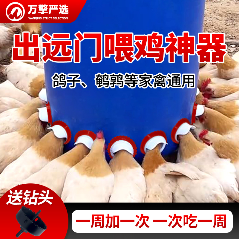 鸡鸭鹅自动喂料器防雨防风防老鼠