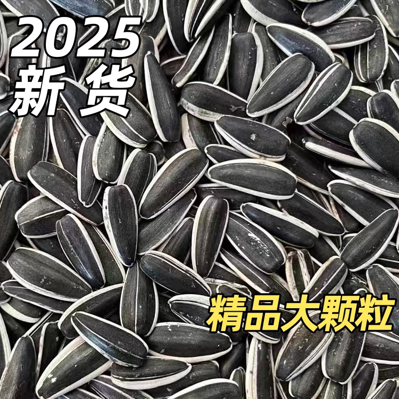 25年新货 内蒙古363大颗粒原味现炒熟葵瓜子2斤5斤散装五原休闲
