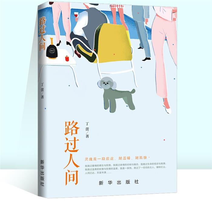 路过人间丁蕾新华出版社9787516658055