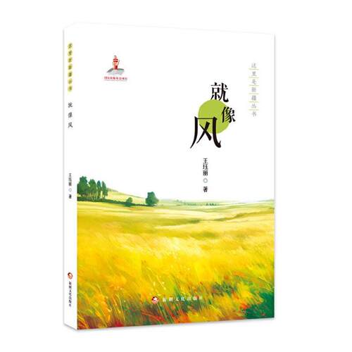 这里是新疆丛书:就像风王珏丽新疆文化出版社