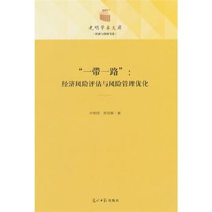 贺思辉 经济风险评估与风险管理优化叶明华 一带一路