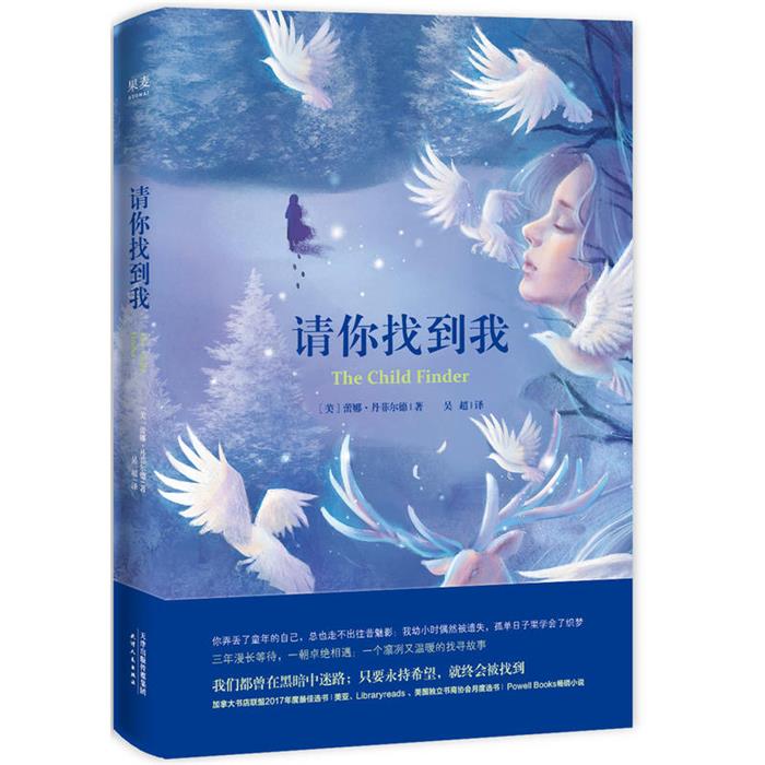 请你找到我[美]蕾娜·丹菲尔德 著，吴超 译天津人民出版社