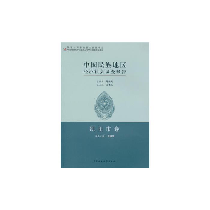 凯里市卷-中国民族地区经济社会调查报告张继焦著